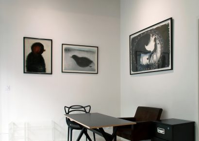 Exposition Anouk Grinberg - FLAIR Galerie