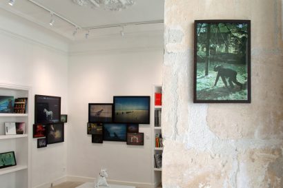 Exposition de Dolorès Marat - FLAIR Galerie