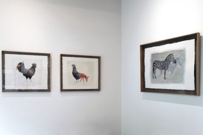 Exposition de Lucio Fanti - FLAIR Galerie