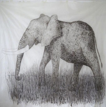 Eléphant gris. 2015 - Caroline Desnoëttes - FLAIR Galerie