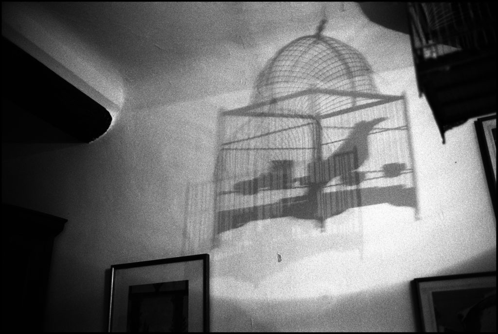 The Cage, Manosque. 2003 - Nicolas Guilbert