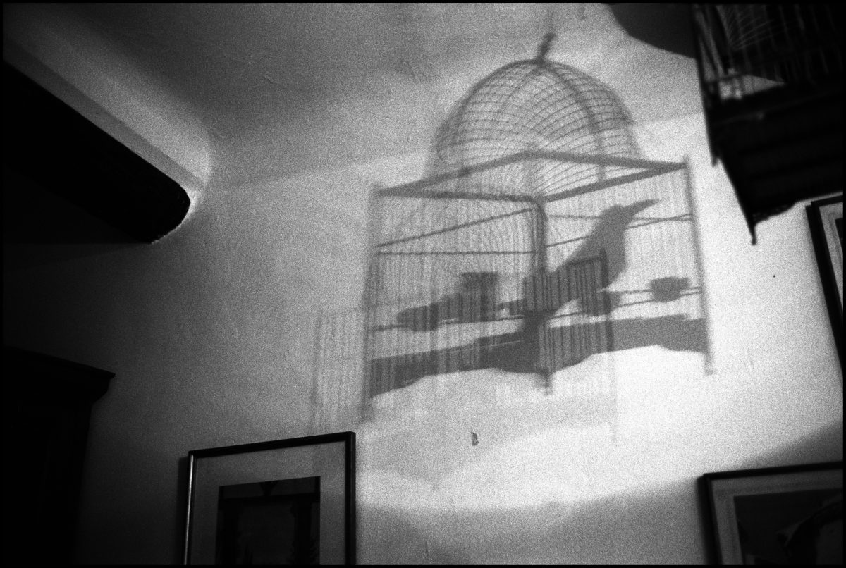 The Cage, Manosque. 2003 - Nicolas Guilbert - FLAIR Galerie