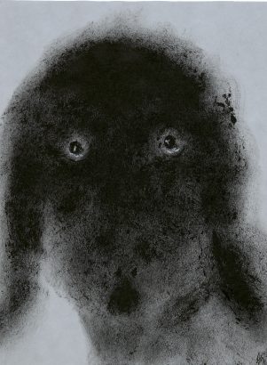 Les yeux du chien. 2016 - Anouk Grinberg - FLAIR Galerie