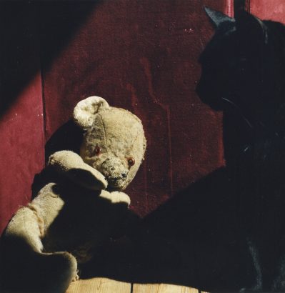 L’ours à l’oreille brûlée, 50 ans. Confident d’Eric Perdrizet. Paris.  2010 - Sylvie Huet - FLAIR Galerie