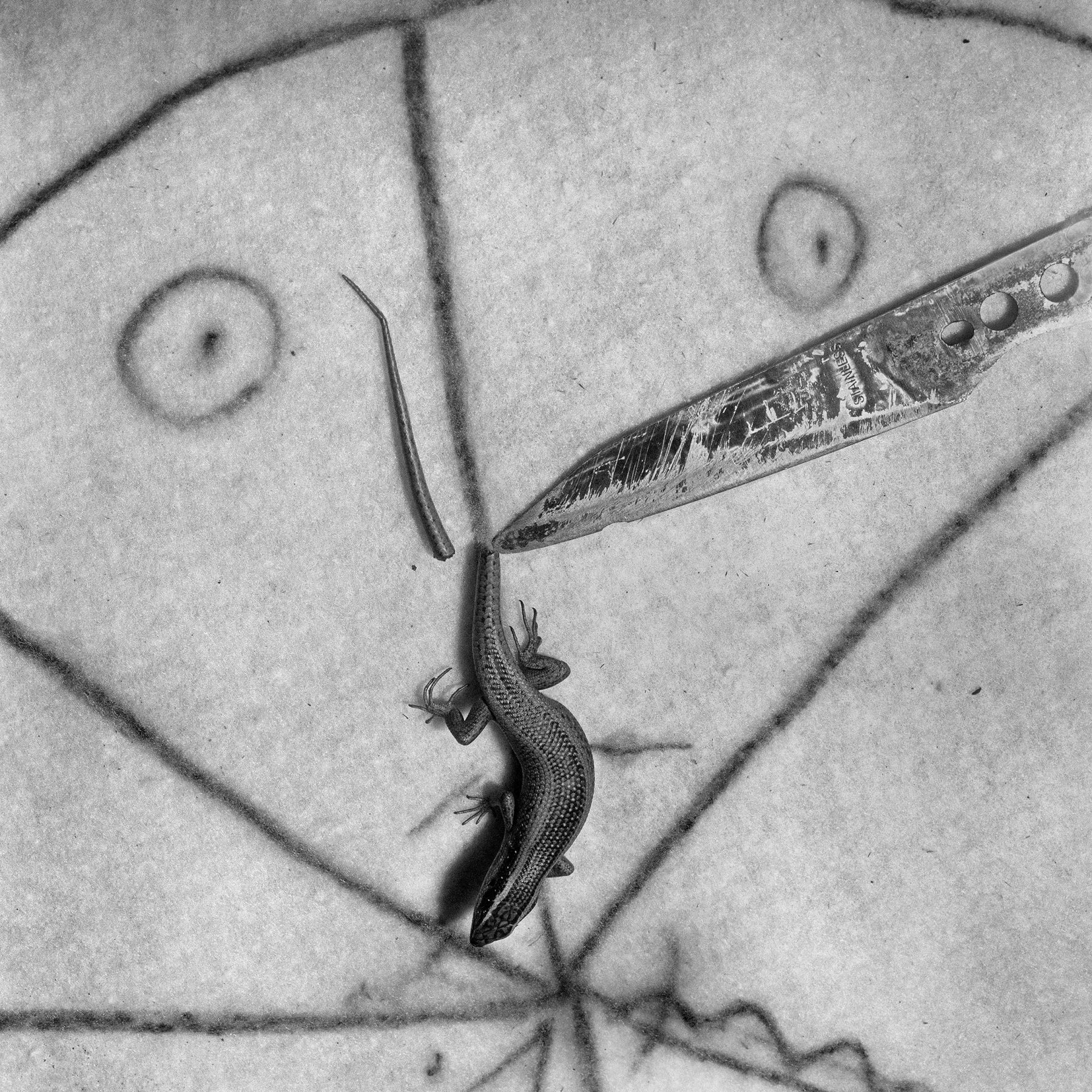 rencontres photo arles 2007