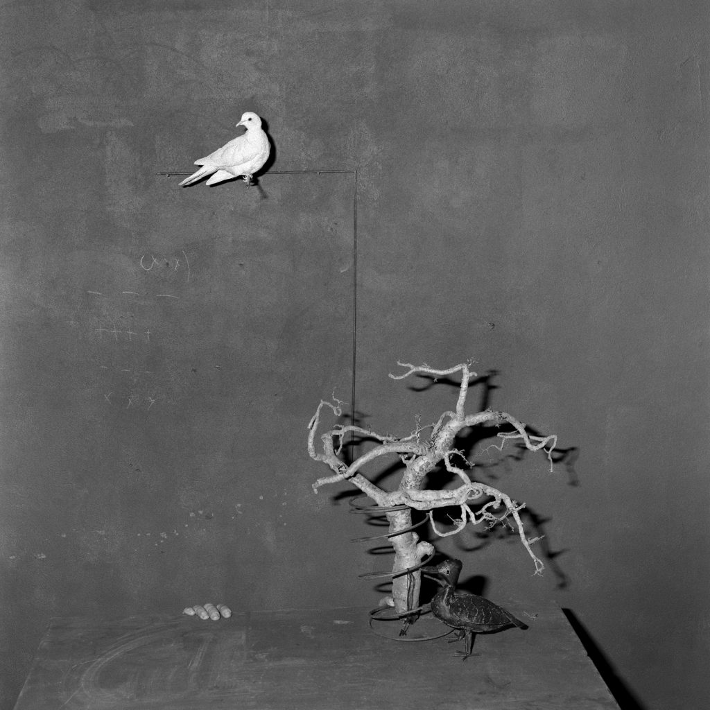 Trap. 2003 - Roger Ballen