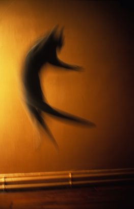 Le saut du chat, Paris. 2010 - Dolorès Marat - FLAIR Galerie
